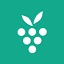 Berrycast