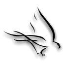 AquilaX