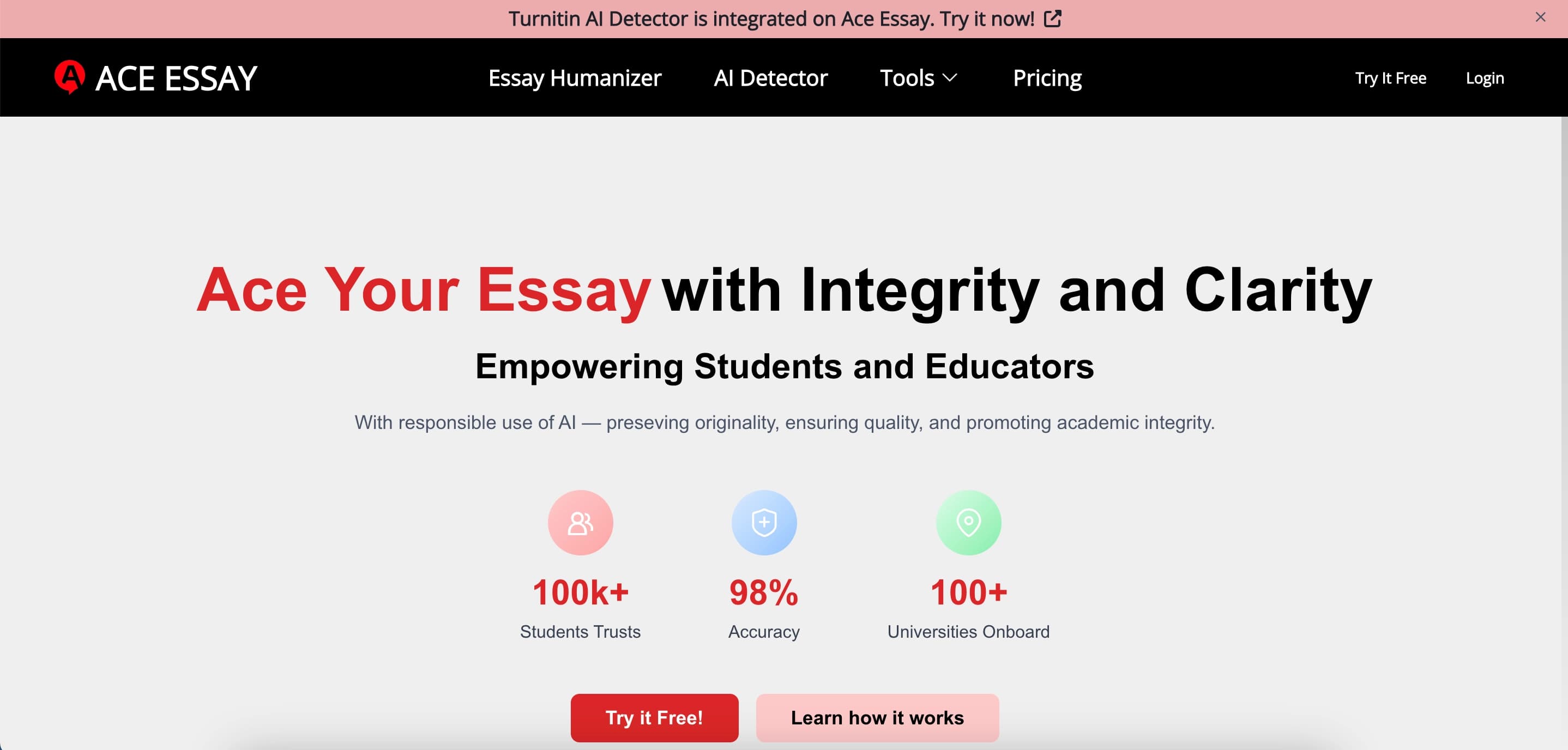 Ace Essay Humanizer