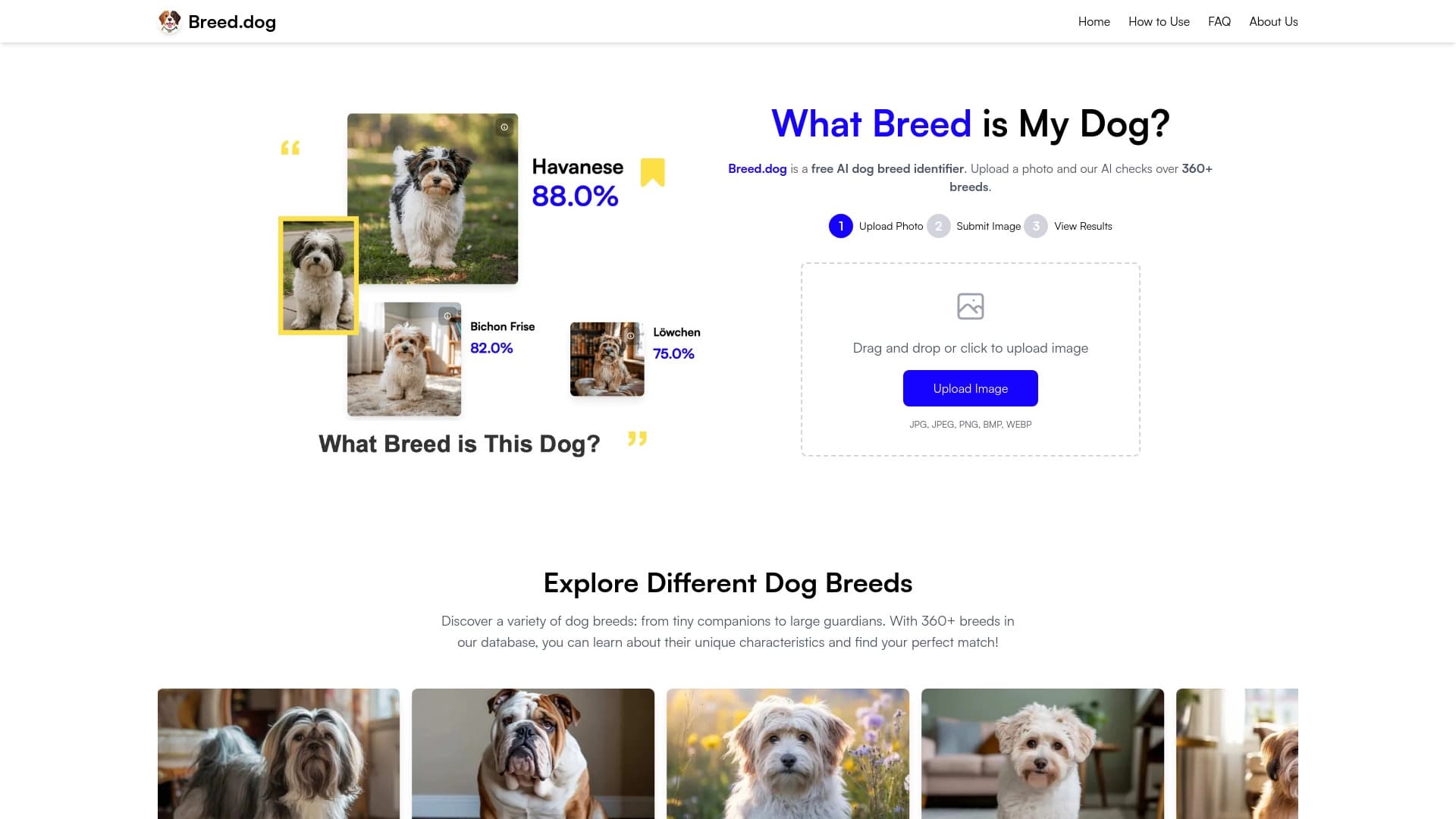 Breed Dog