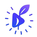 Seedance