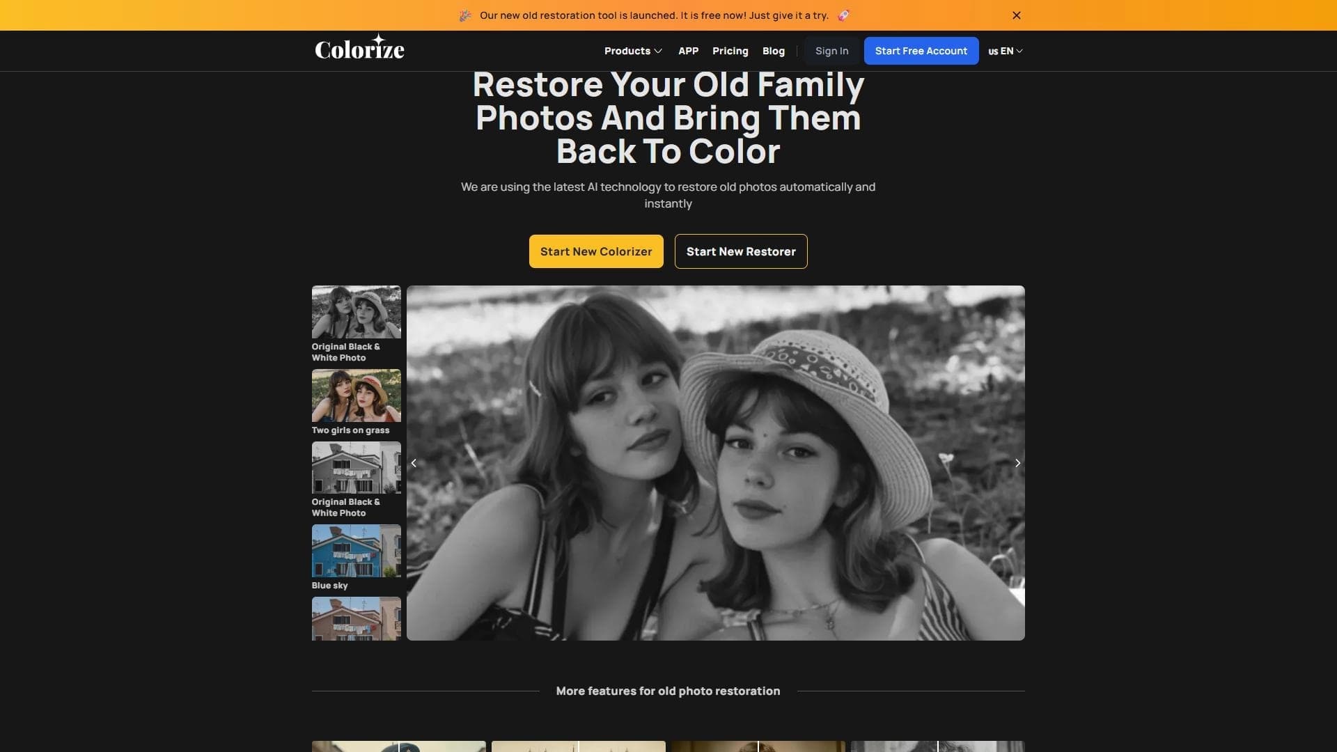 Imagecolorizer