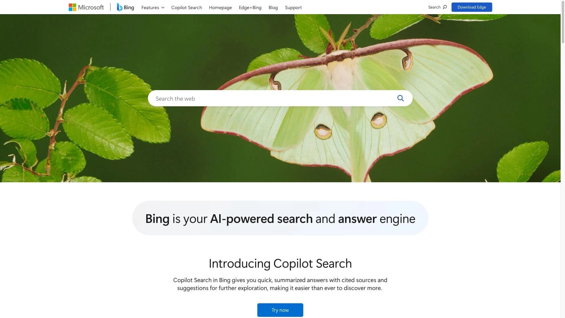 Microsoft Bing