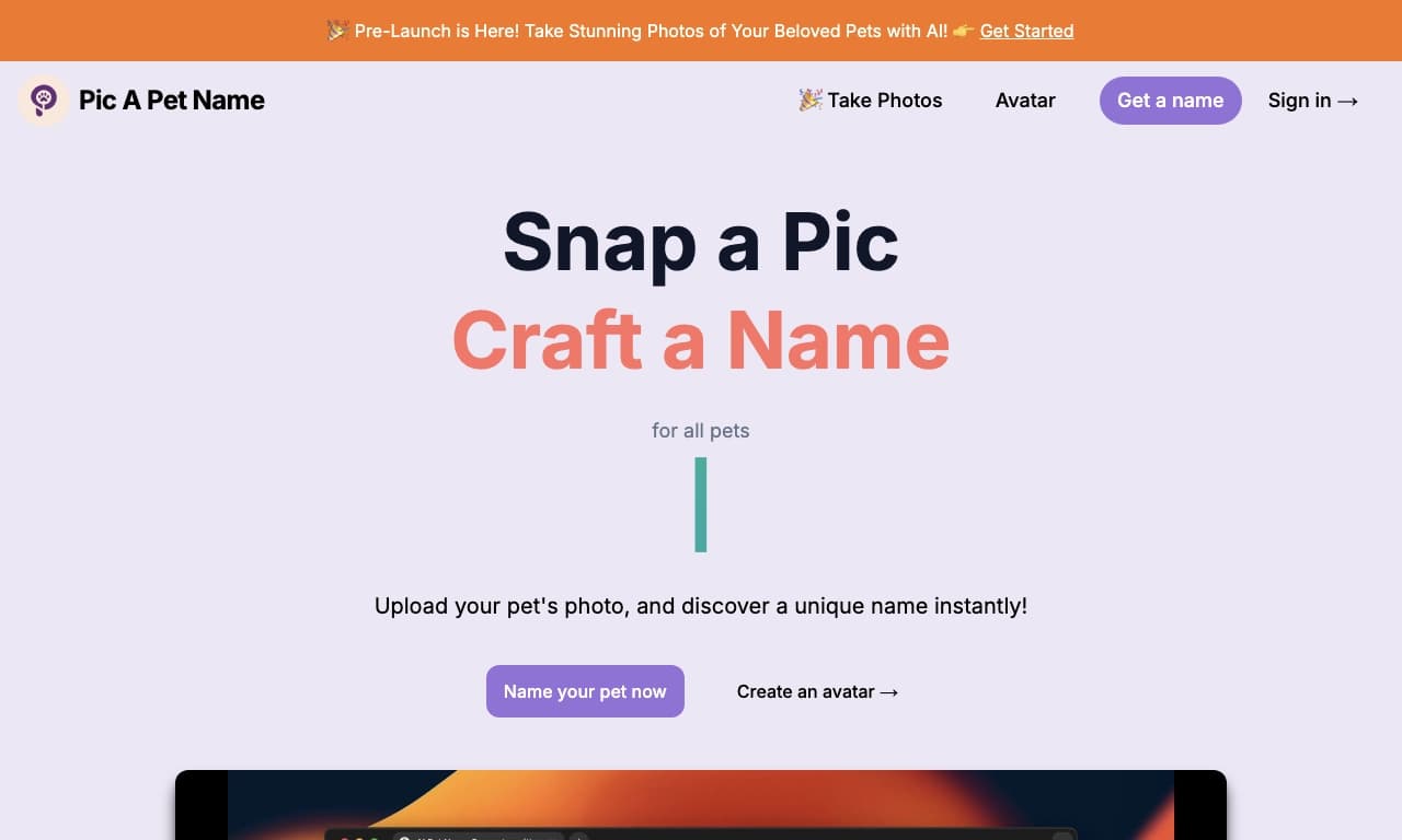 Pic A Pet Name