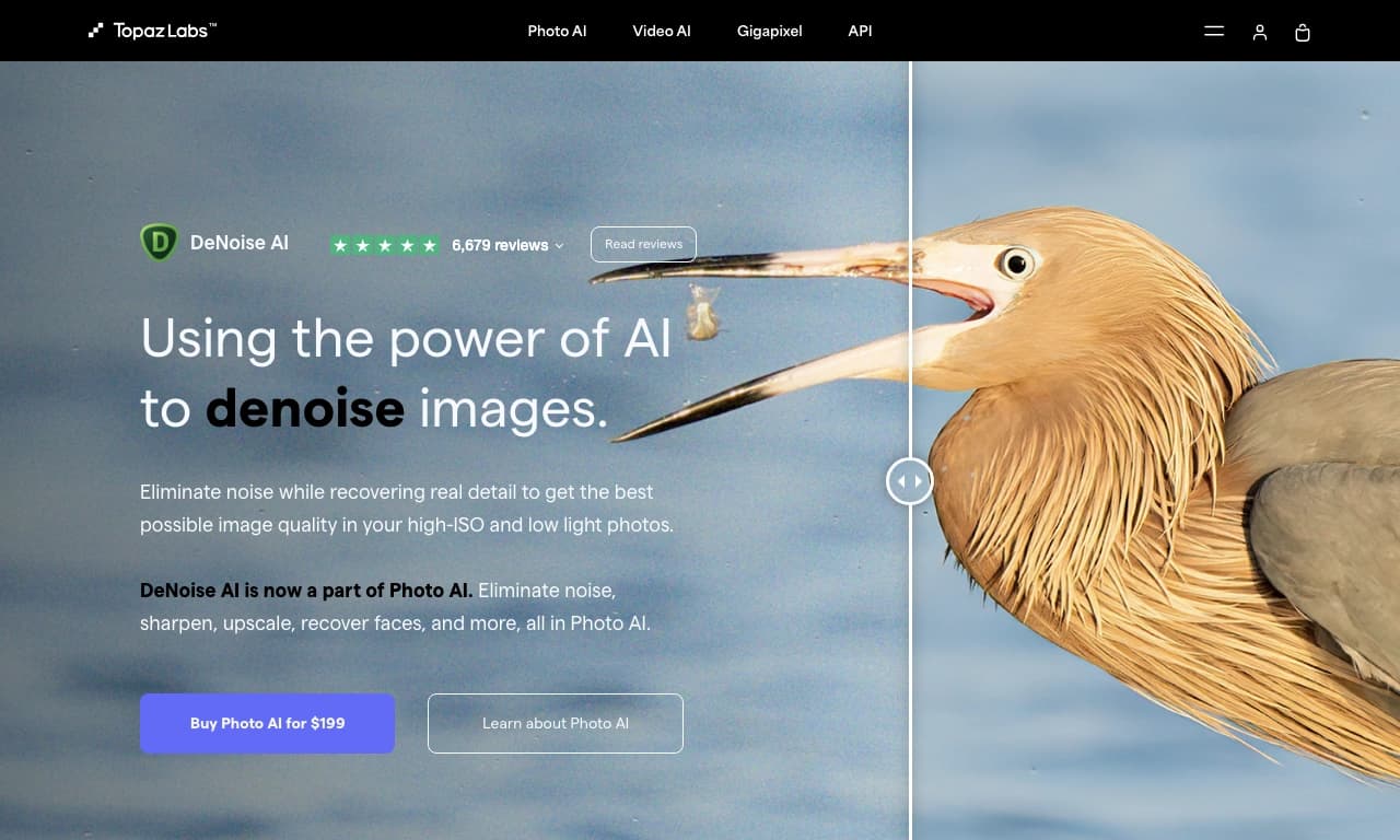 Topaz DeNoise AI