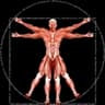 Dr. Muscle